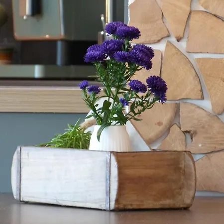 Schwarz I Wald Freudenstadt