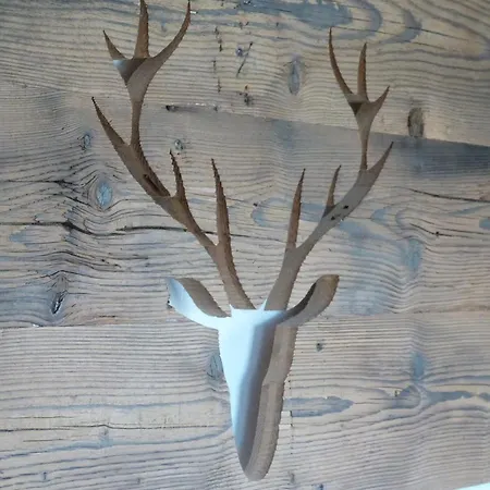 Appartement Schwarz I Wald *